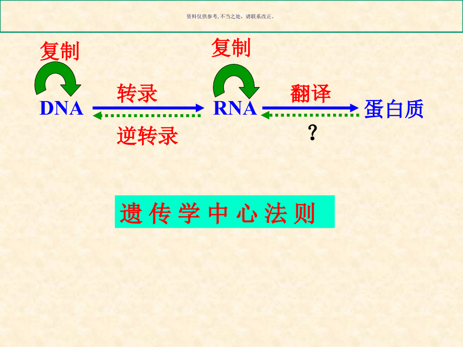 真核基因和基因组课件_第1页