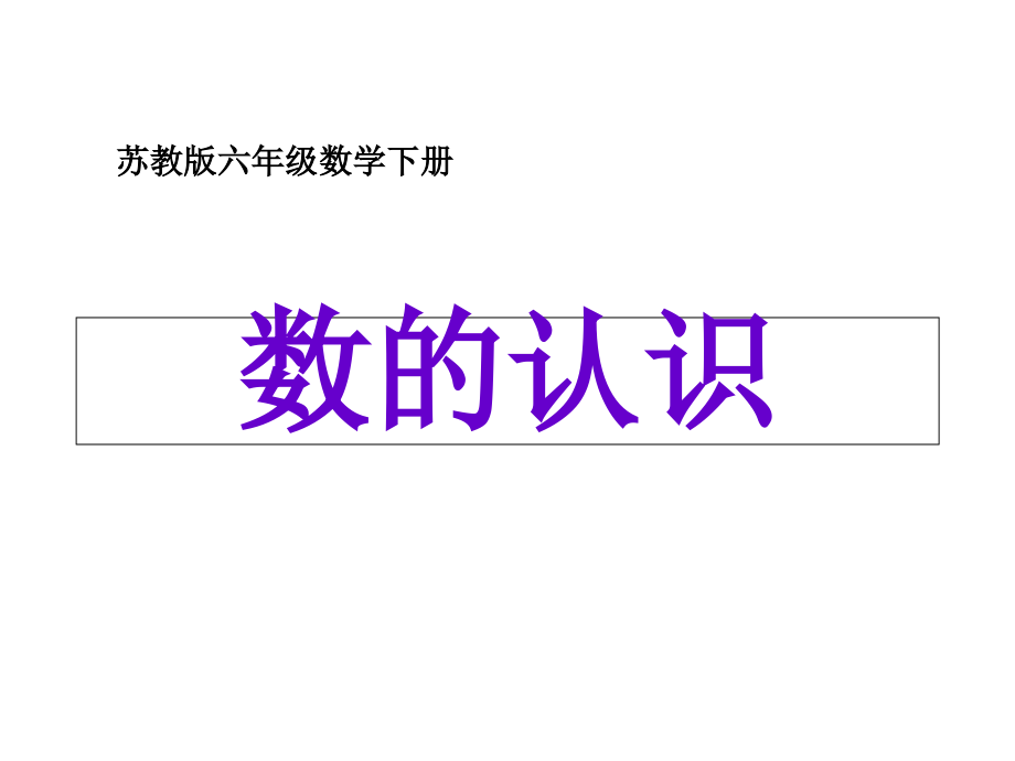 苏教版六年级下册《数的认识》课件_第1页