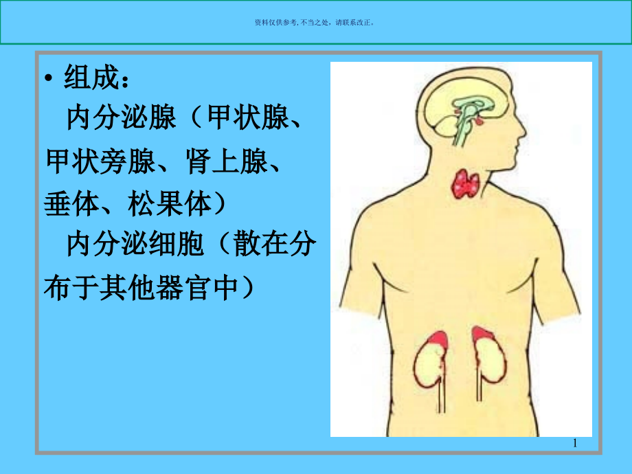 组织胚胎学内分泌系统课件_第1页