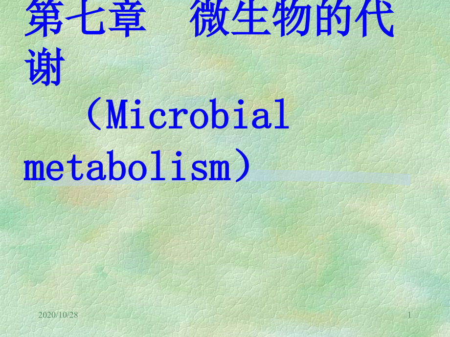 第七章-微生物的代谢-课件_第1页