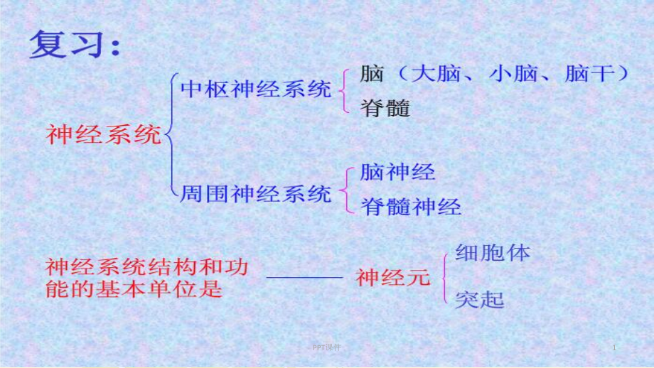 神经调节的基本方式---课件_第1页