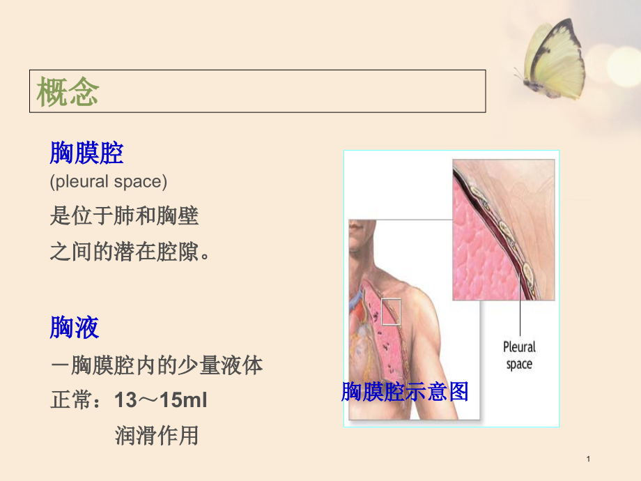 医学ppt课件胸腔积液病人的护理_第1页