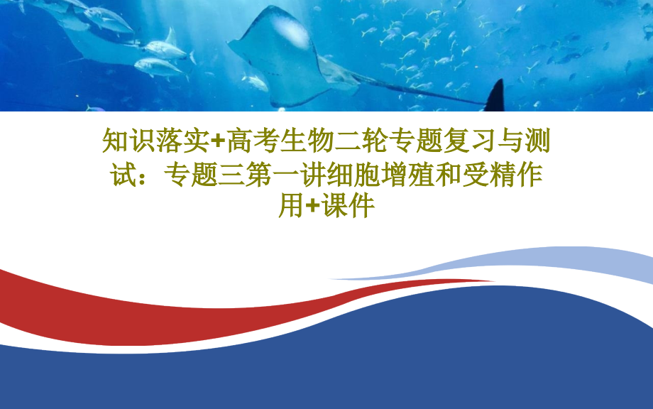 知识落实+高考生物二轮专题复习与测试：专题三第一讲细胞增殖和受精作用+教学课件_第1页