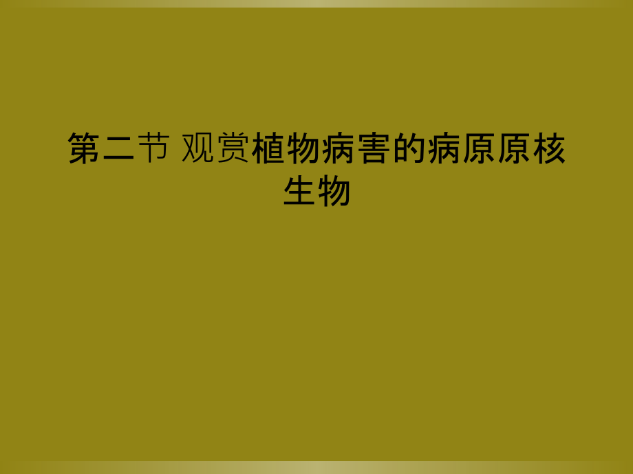 第二节-观赏植物病害的病原原核生物课件_第1页