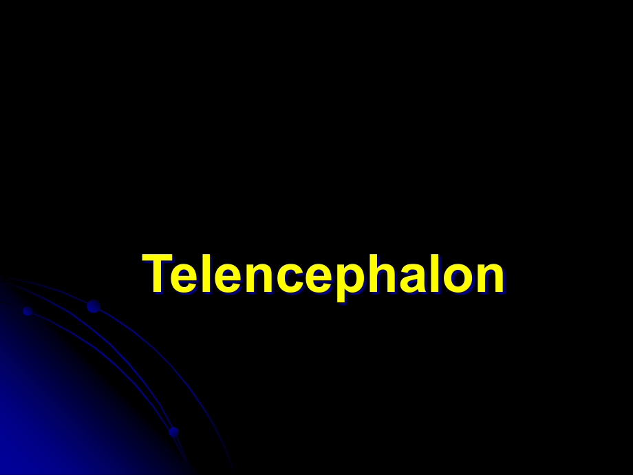 端脑Telencephalon教学讲解课件_第1页