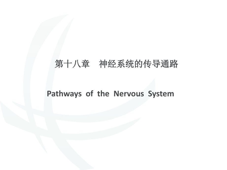 神经系统第十节-主要传导通路课件_第1页