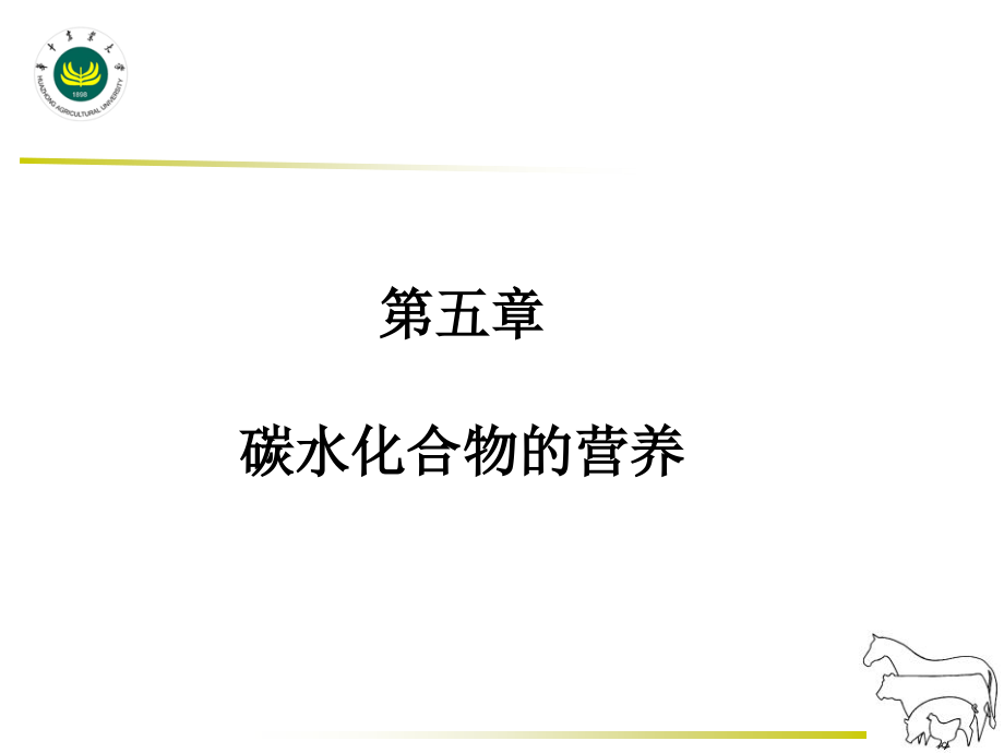 碳水化合物营养资料课件_第1页