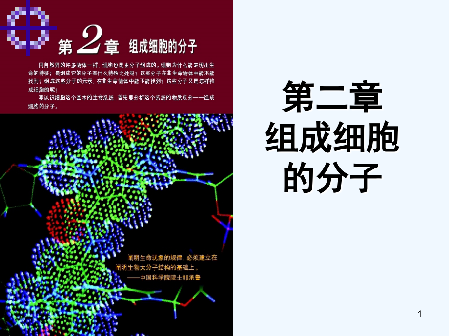 第一轮复习第二章组成细胞分子课件_第1页