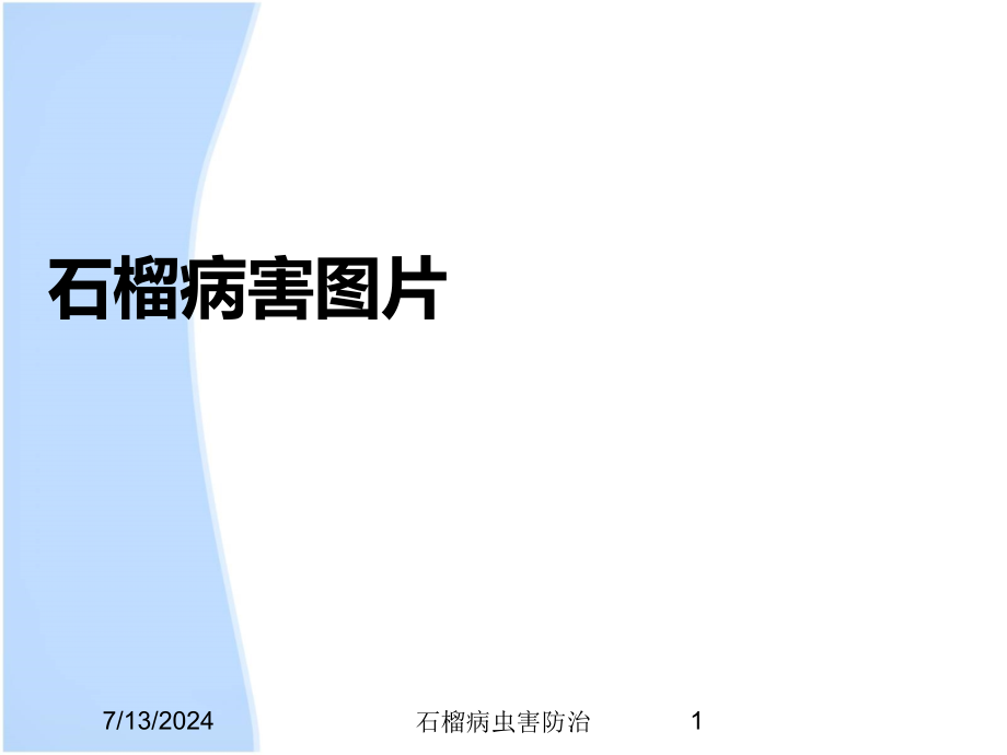 石榴病虫害防治培训课件_第1页