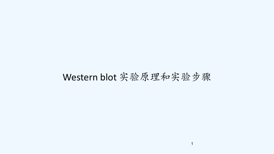 Westernblot实验原理和实验步骤课件_第1页