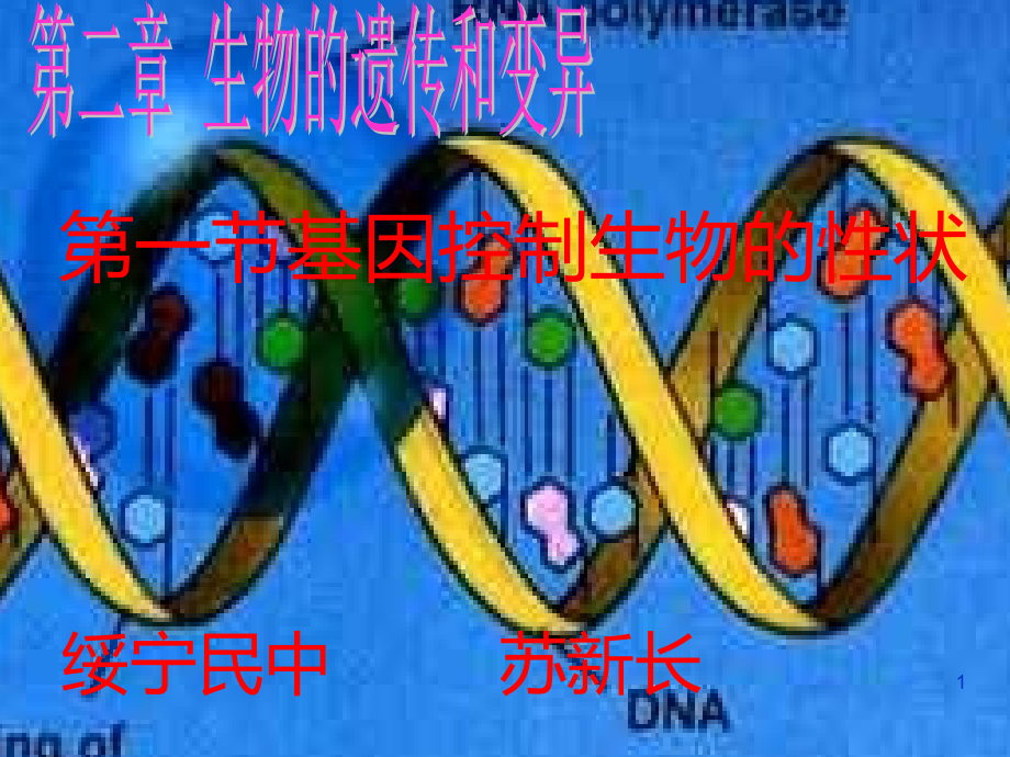 第二章第一节基因控制生物的性状课件_第1页