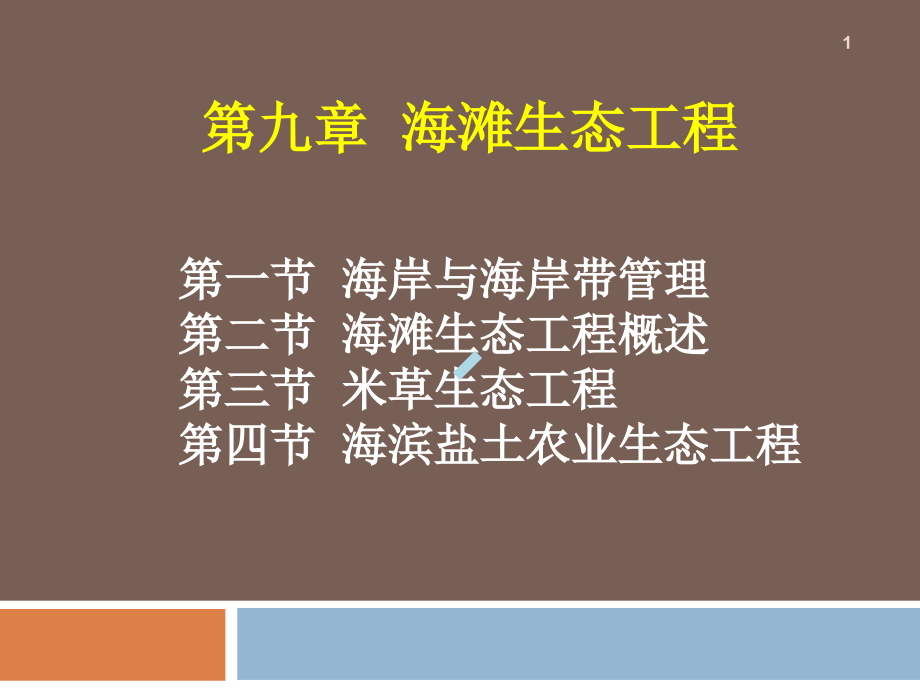 次生态工程学9海滩生态工程课件_第1页