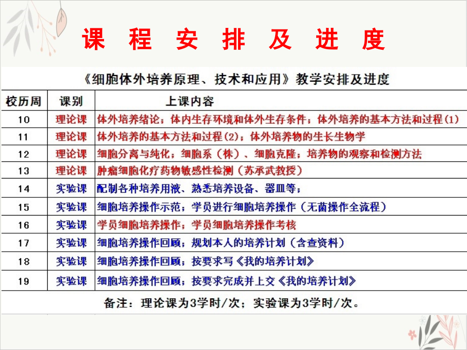 细胞体外培养的基本方法和过程课件-课件_第1页