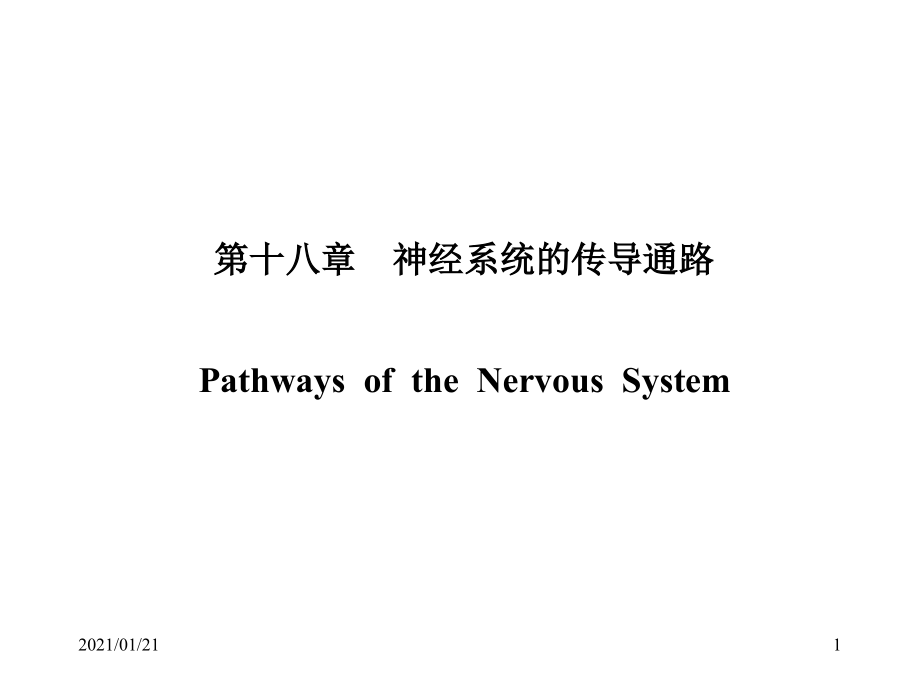 神经系统的传导通路-人体解剖学教学课件_第1页