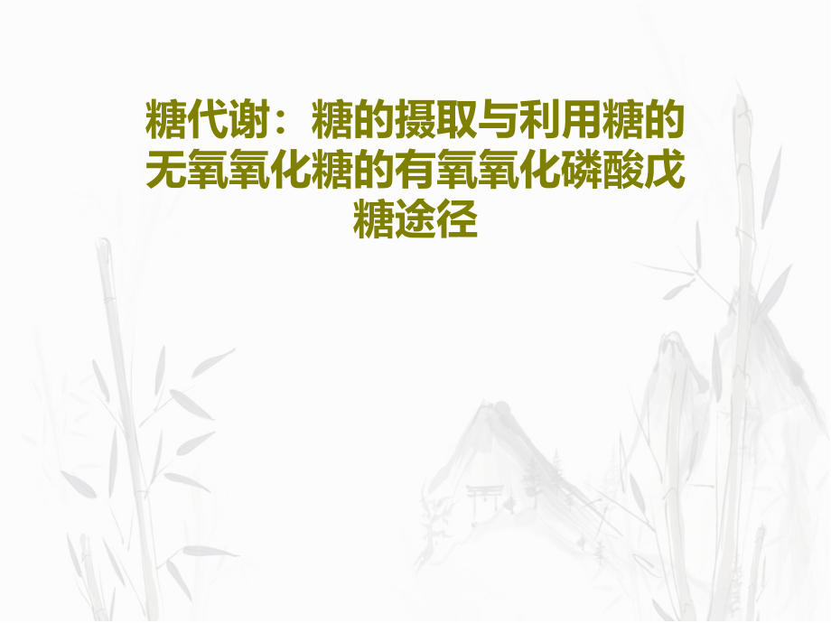 糖代谢：糖的摄取与利用糖的无氧氧化糖的有氧氧化磷酸戊糖途径课件_第1页