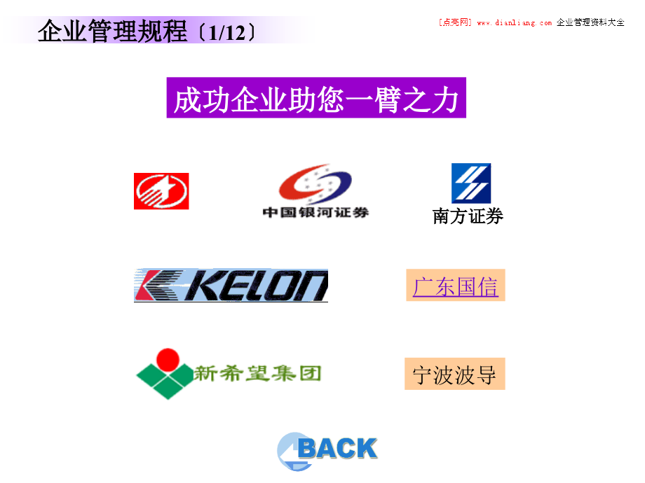 TCL销售公司业务报告案例_第1页