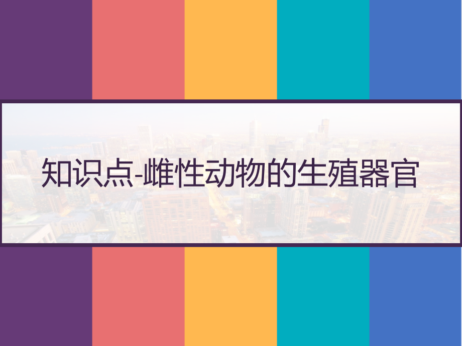 知识点一雌性动物的生殖器官-课件_第1页