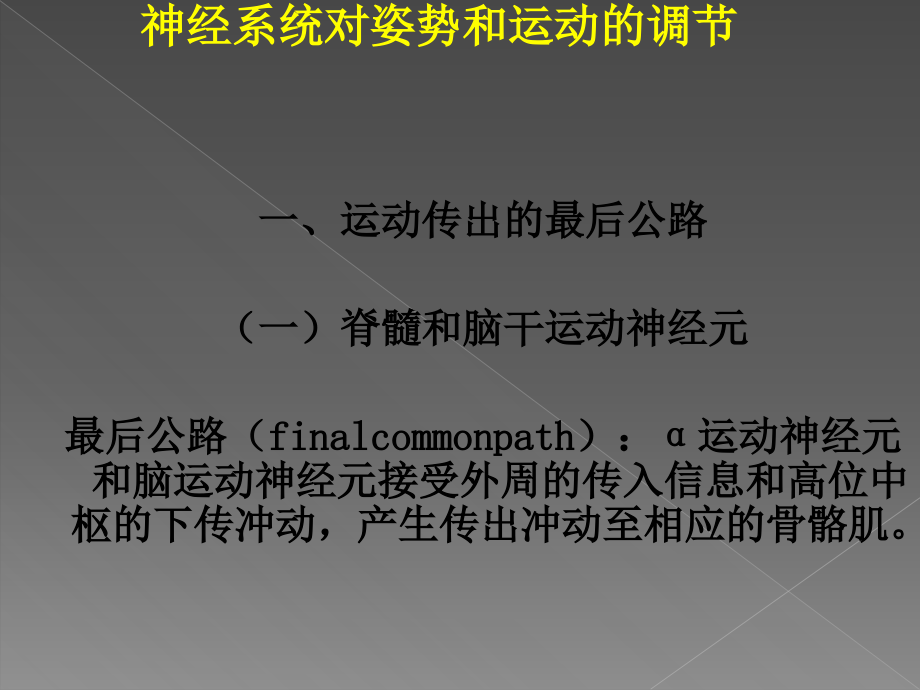 神经系统对姿势和运动的调节课件_第1页