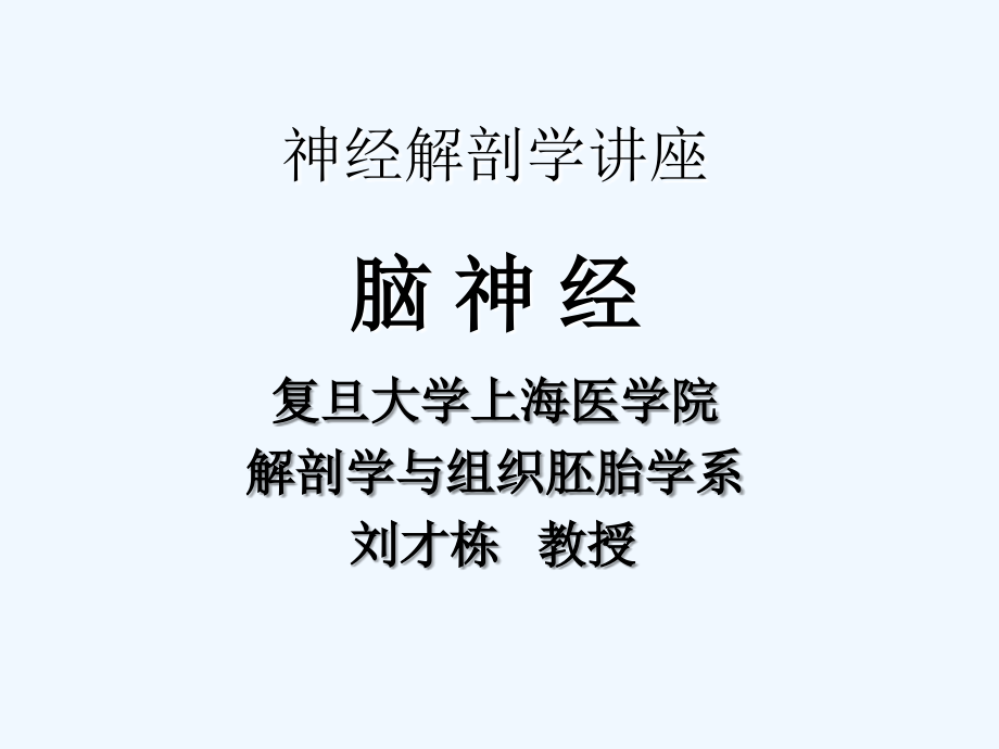 神经解剖学脑神经复旦非常好的解剖课件_第1页