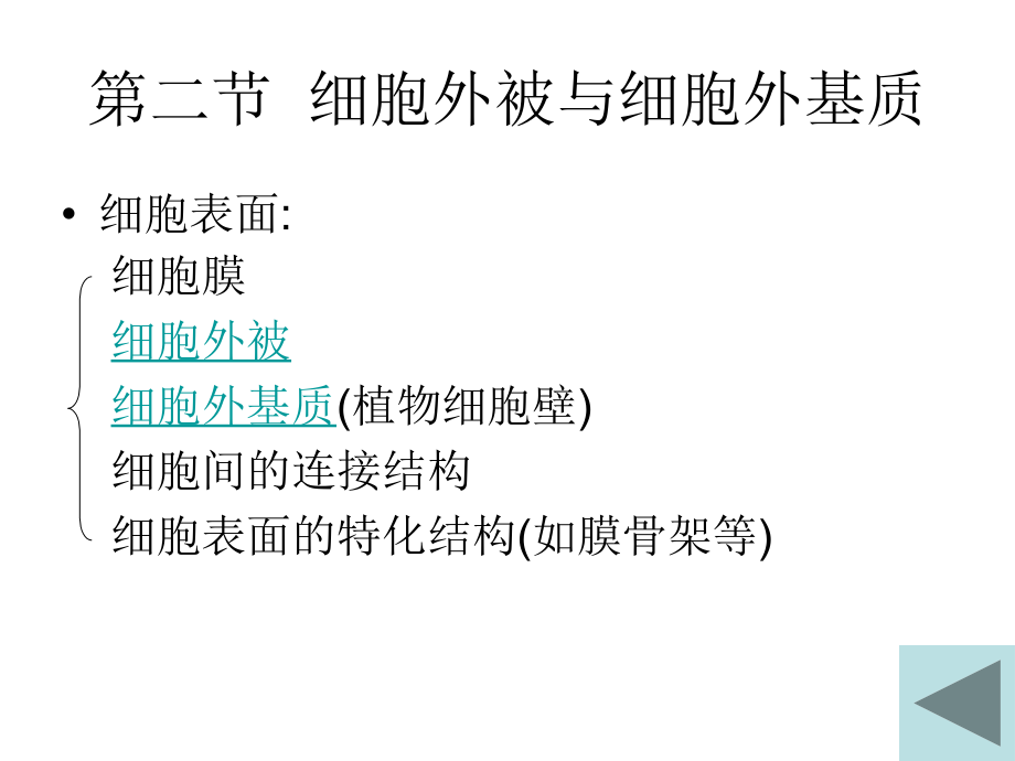 第二节--细胞外被与细胞外基课件_第1页