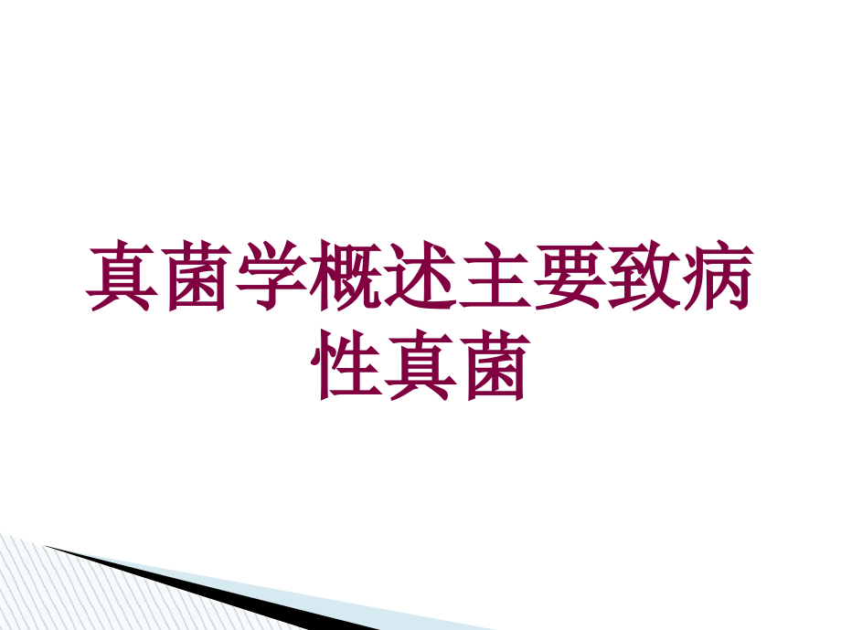 真菌学概述主要致病性真菌培训课件_第1页