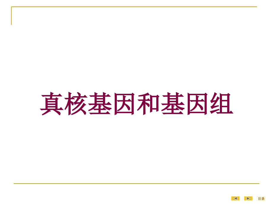 真核基因和基因组培训课件1_第1页