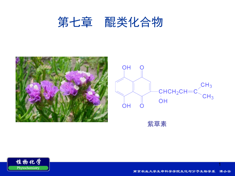 第七章--醌类化合物-课件_第1页