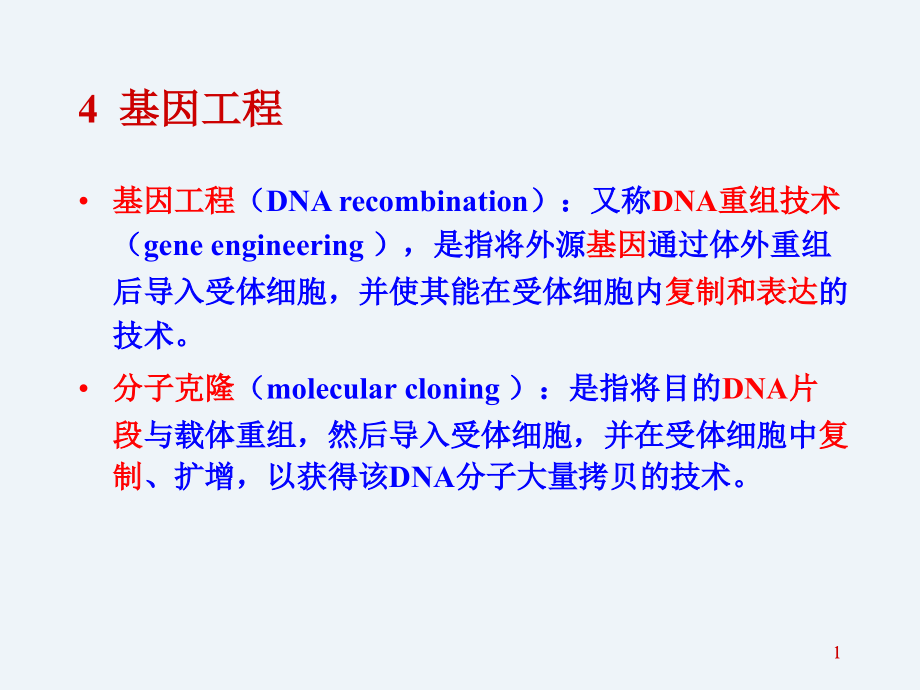 分子生物学--基因工程和核酸杂交ppt课件_第1页