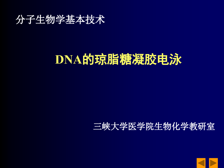 琼脂糖凝胶天然琼脂agar课件_第1页