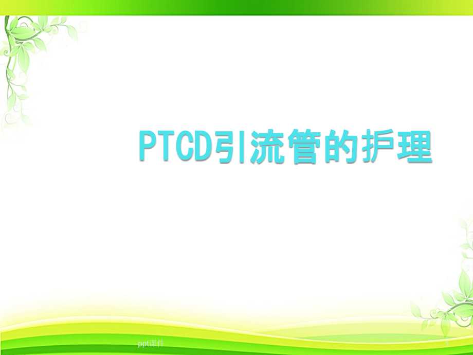 PTCD引流管的护理课件_第1页