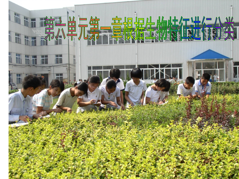 第一节尝试对生物进行分类课件_第1页