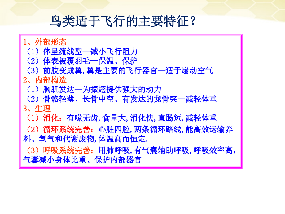 第三节空中飞行的动物--昆虫课件_第1页