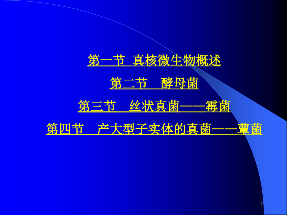 第二章-真核微生物的形态构造和功能课件_第1页