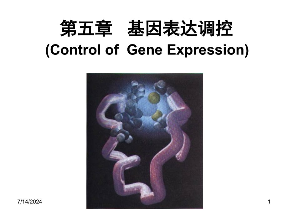 第五章--基因表达调控课件_第1页