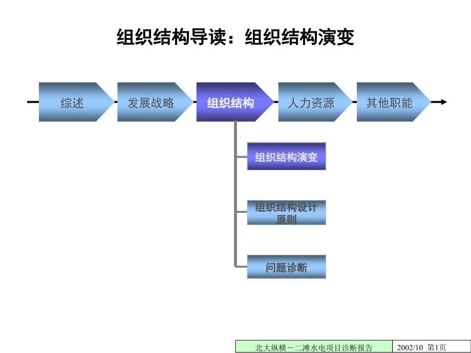 组织诊断报告课件_第1页