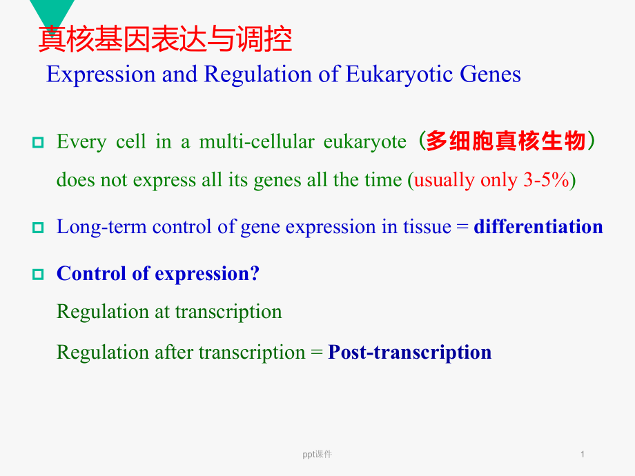 真核基因表达调控--课件_第1页