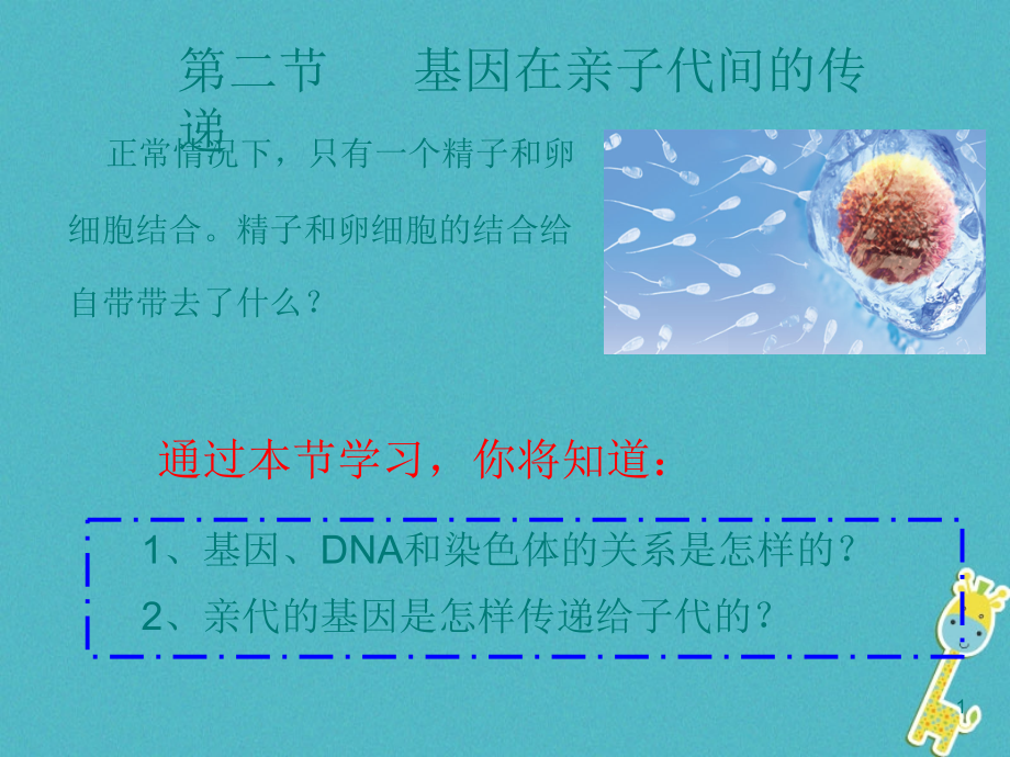 初二生物下册722基因在亲子代间的传递课件_第1页