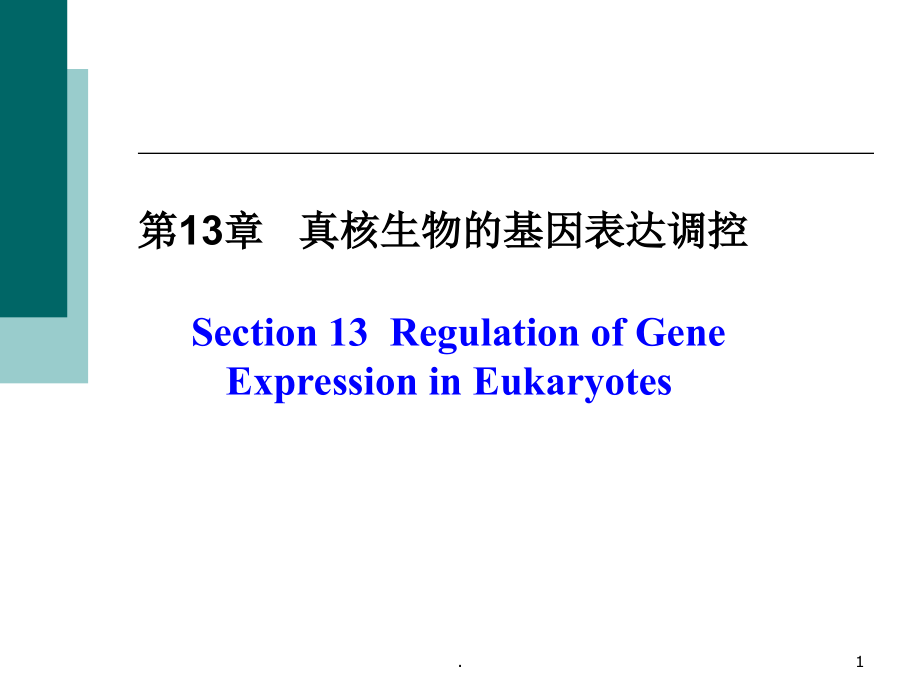 真核生物的基因表达调控课件_第1页