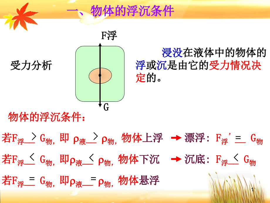 物体的浮沉条件时课件_第1页