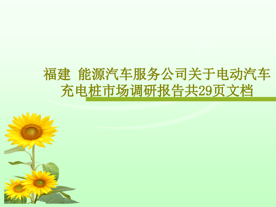 福建-能源汽车服务公司关于电动汽车充电桩市场调研报告教学课件2_第1页