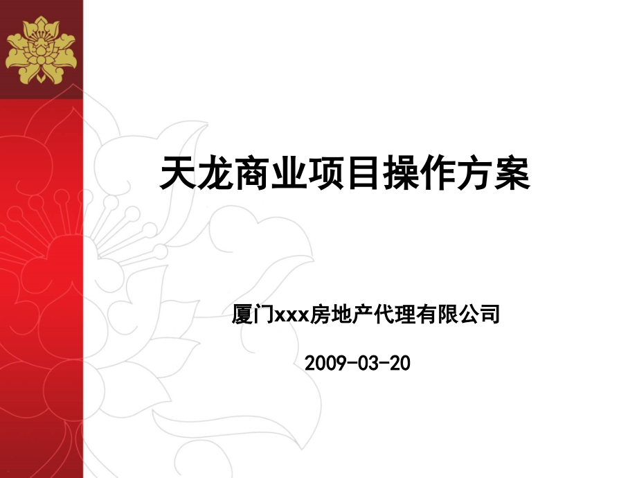 福建莆田天龙商业项目操作方案_第1页