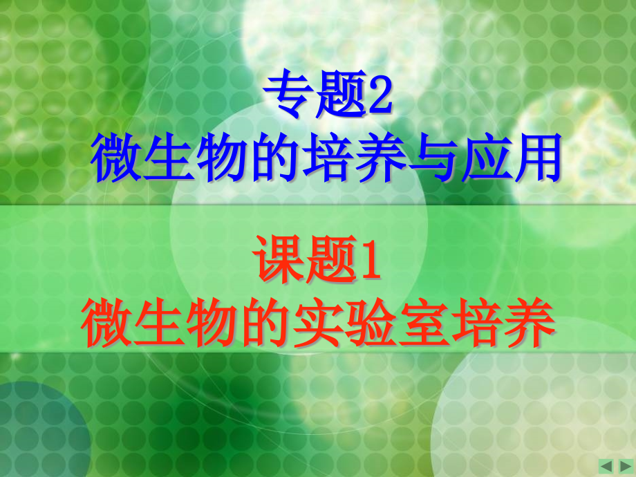 复习微生物的实验室培养课件_第1页