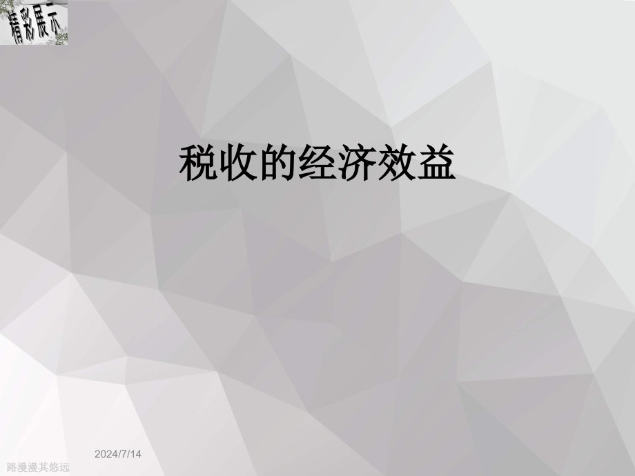 税收的经济效益课件_第1页