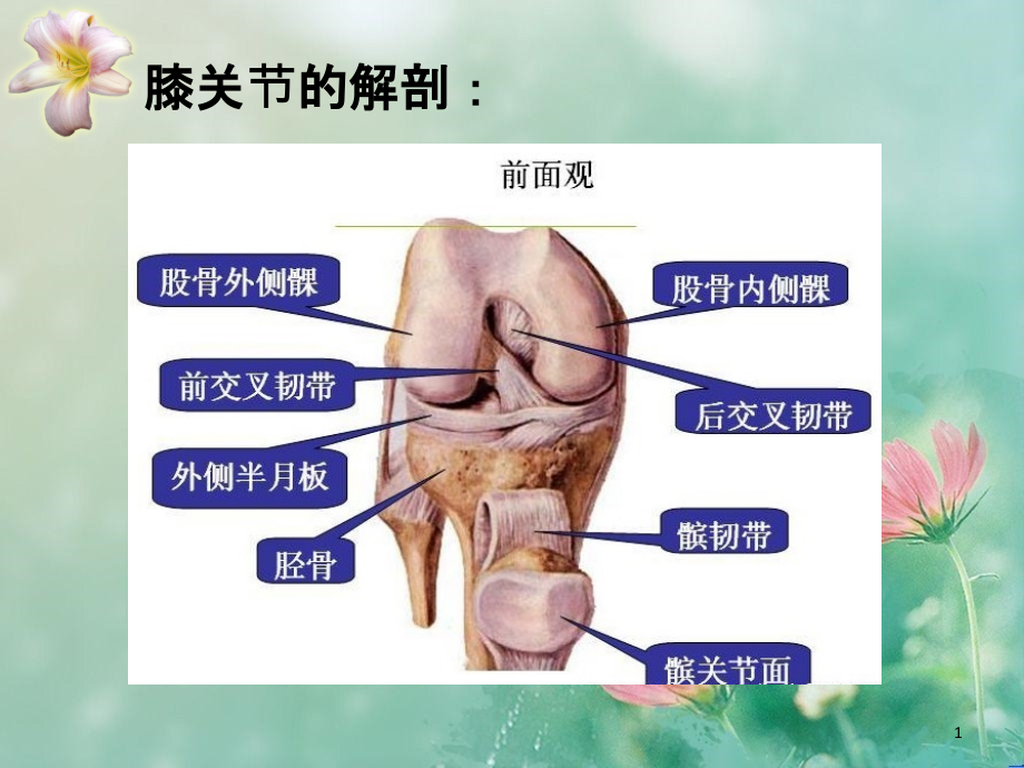 医学ppt课件膝关节置换护理查房总结_第1页