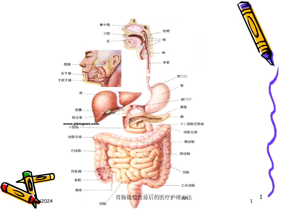 胃肠镜检查前后的医疗护理方法培训ppt课件_第1页