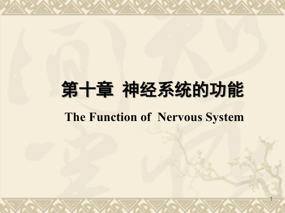 神经系统的功能课件_第1页