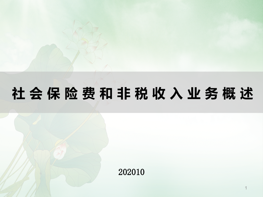 社保费和非税收入ppt课件_第1页