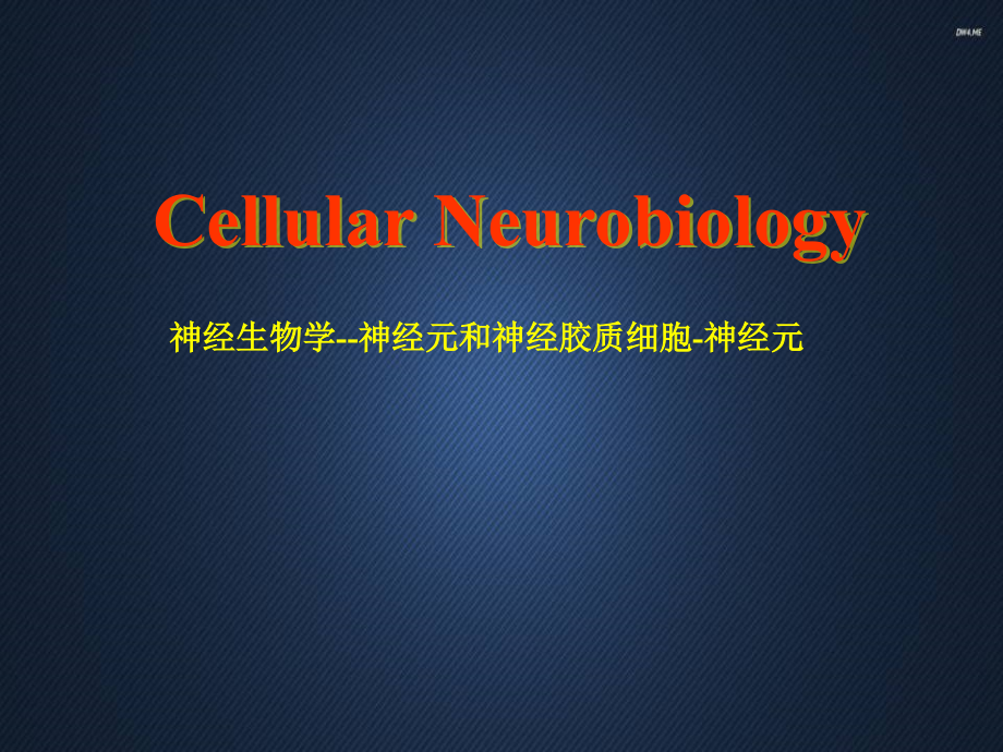 神经生物学--神经元和神经胶质细胞-神经元--课件_第1页