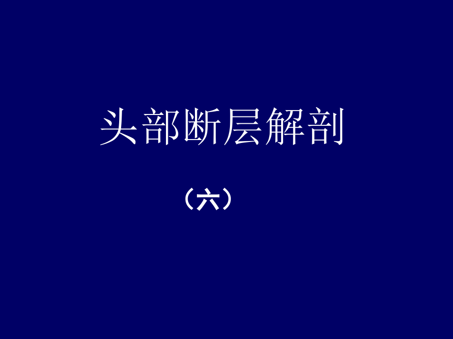 眶与鼻断层解剖教学课件_第1页