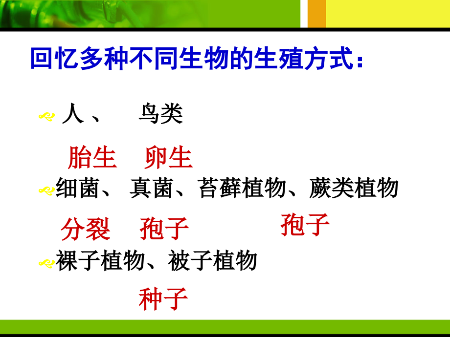 第一节植物的生殖课件2_第1页